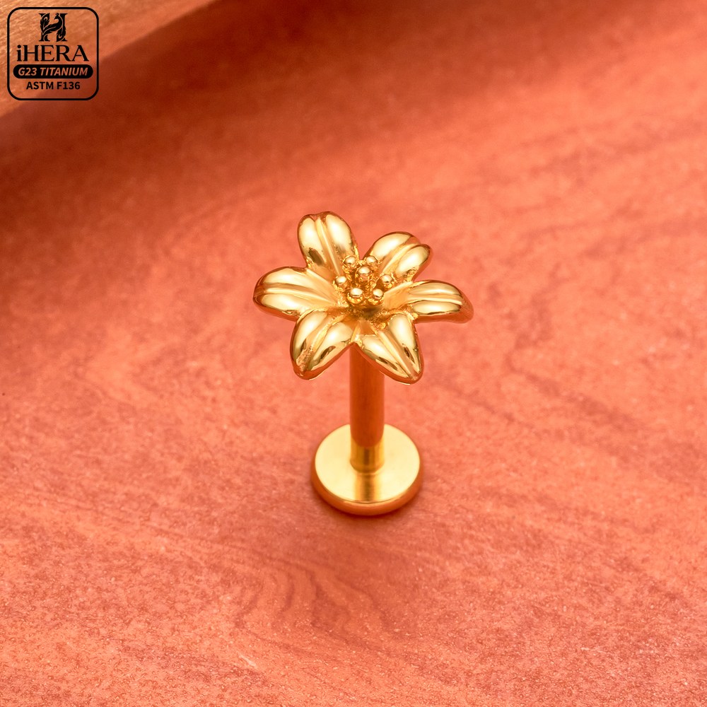 Boucles d'oreilles pendantes e - Rook Curved Barbell avis et prix