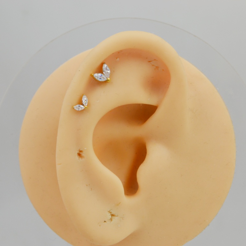 Lot10 pièces G23 titane ASTM F - Rook Curved Barbell avis et prix